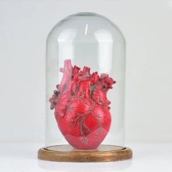 ENFEITE VITRINE COM CORAÇÃO VERMELHO