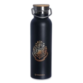 GARRAFA CAMP 600ML  HARRY POTTER HOGWARTS