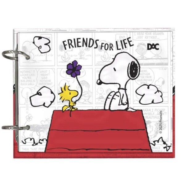 CADERNO ARGOLADO MINI SNOOPY