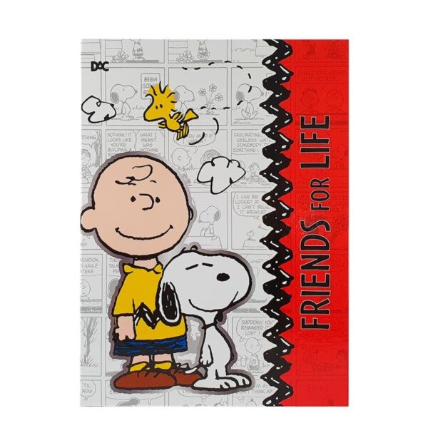 PASTA CATÁLOGO SNOOPY